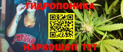 apvp Волжск