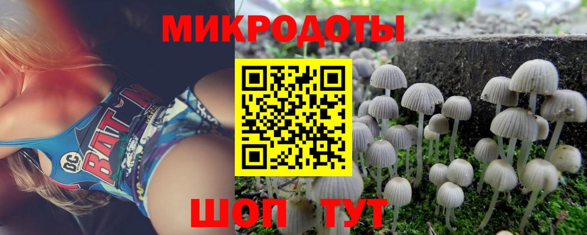 Галлюциногенные грибы GOLDEN TEACHER Нальчик