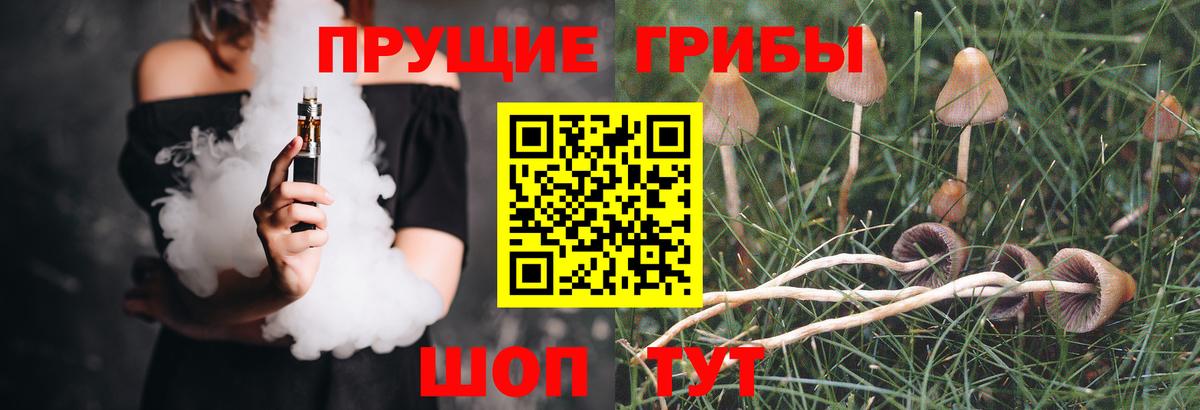 хочу наркоту  Вход с VPN  Нальчик  Галлюциногенные грибы GOLDEN TEACHER 